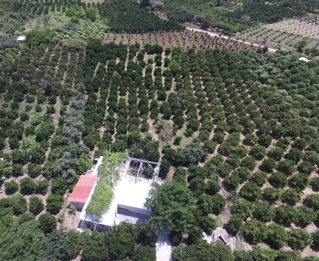 Orange Tree Farm Skines Ξενοδοχείο Εξωτερικό φωτογραφία