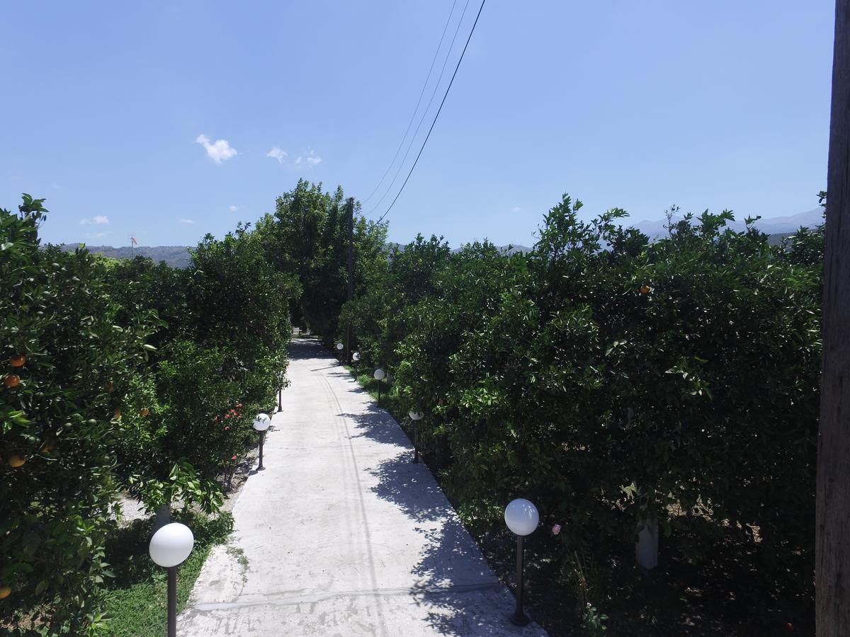 Orange Tree Farm Skines Ξενοδοχείο Εξωτερικό φωτογραφία