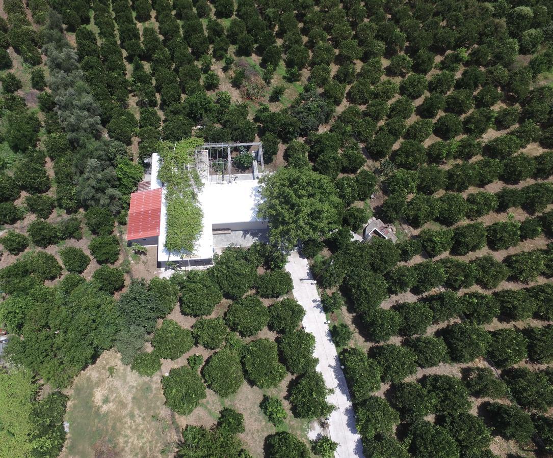 Orange Tree Farm Skines Ξενοδοχείο Εξωτερικό φωτογραφία