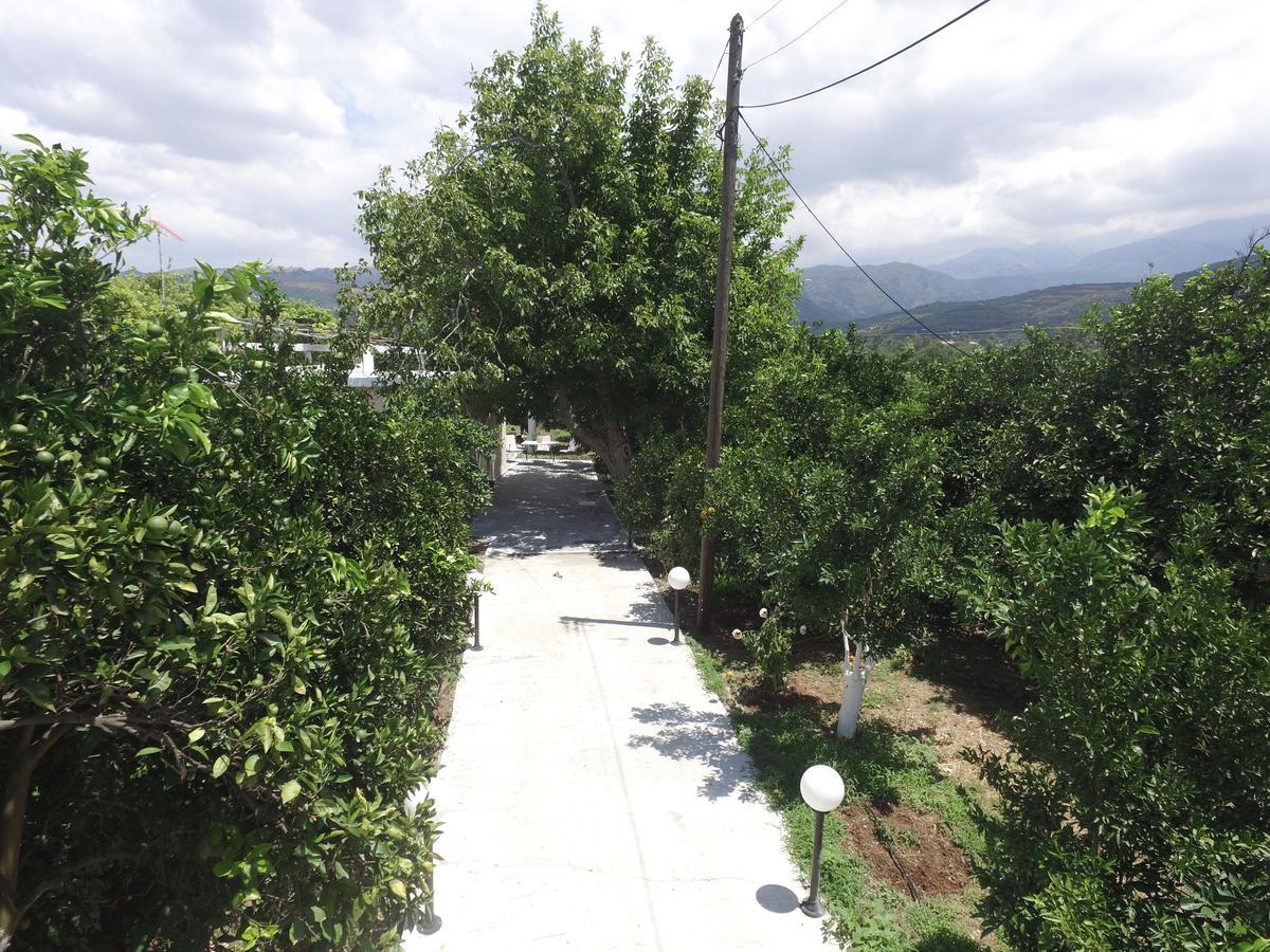 Orange Tree Farm Skines Ξενοδοχείο Εξωτερικό φωτογραφία