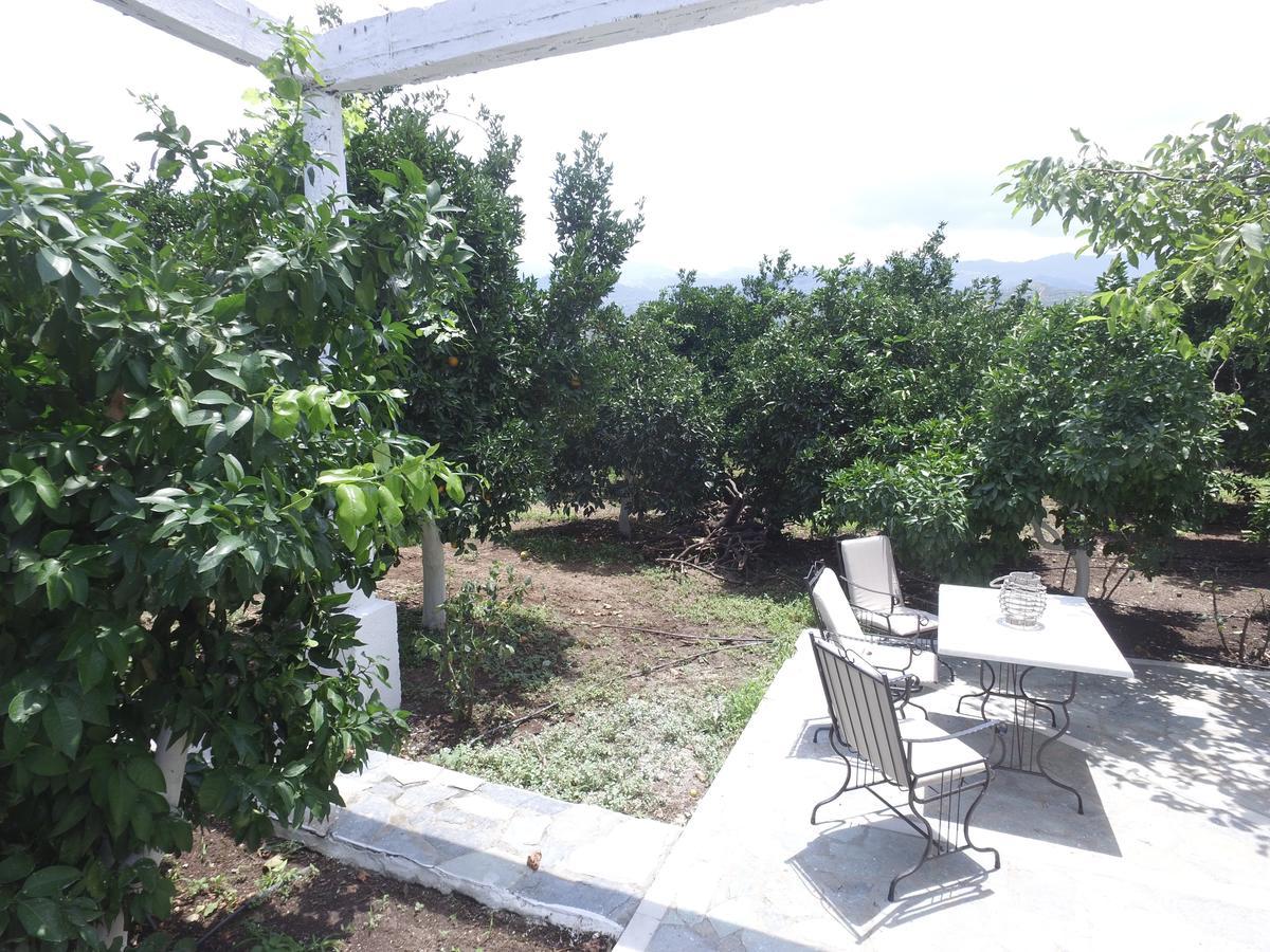 Orange Tree Farm Skines Ξενοδοχείο Εξωτερικό φωτογραφία