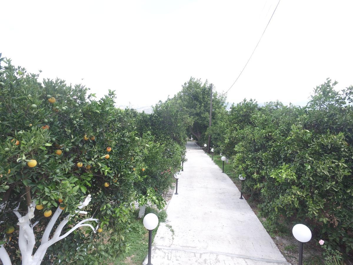 Orange Tree Farm Skines Ξενοδοχείο Εξωτερικό φωτογραφία